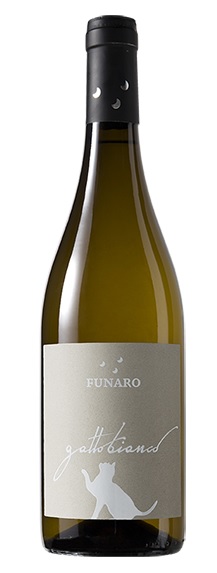 Gatto Bianco
